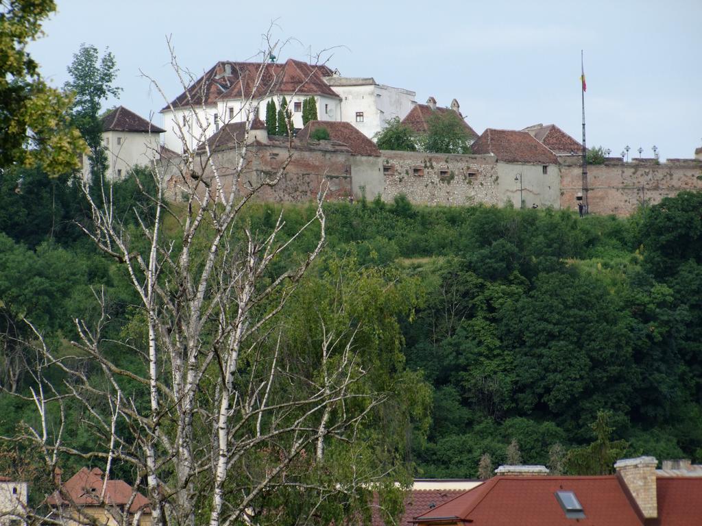 Lelia Residence Apartments Braşov Rom bilde